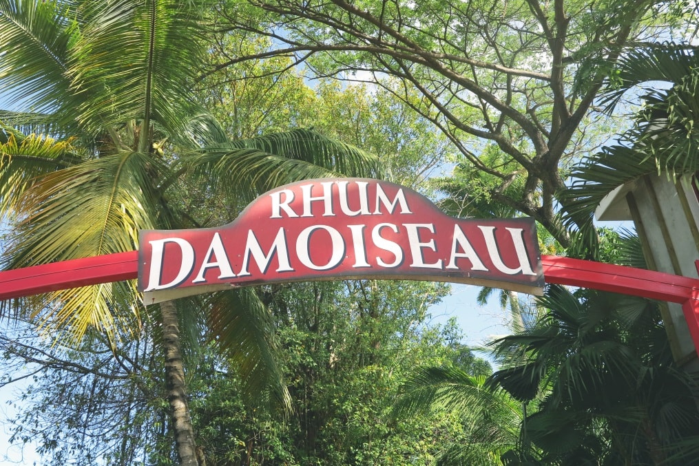 Guadeloupe_Damoiseau-min (1)